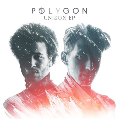 VA - Polygon - Unison (2021) (MP3)
