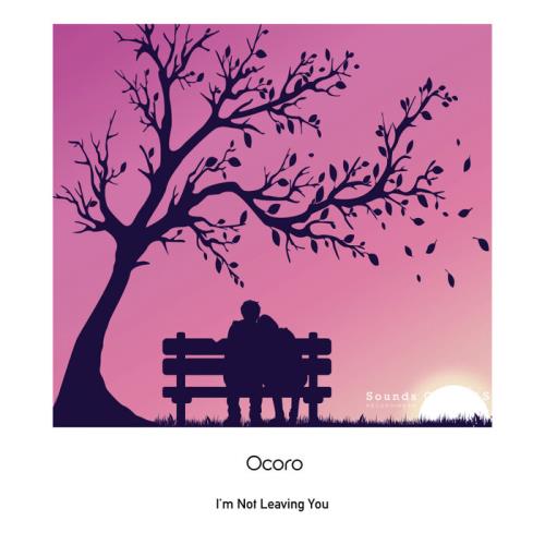 VA - Ocoro - Im Not Leaving You (2021) (MP3)
