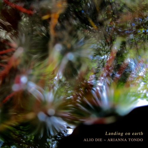VA - Alio Die, Arianna Tondo - Landing On Earth (2021) (MP3)
