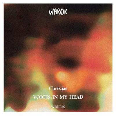 VA - Chriz.jae - Voices In My Head (2021) (MP3)