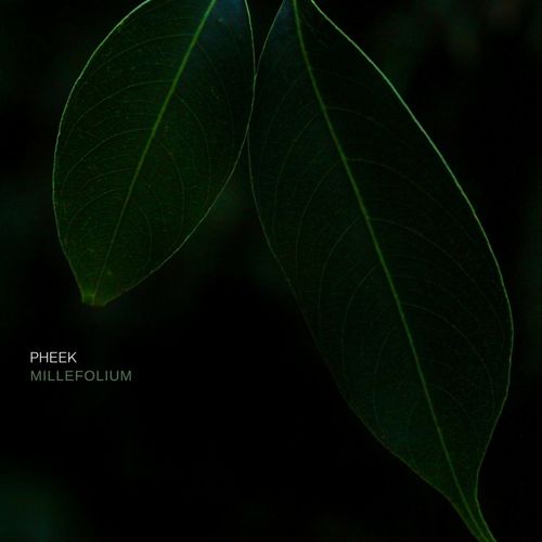 VA - Pheek - Millefolium (2021) (MP3)