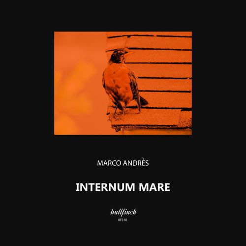 Marco Andres - Internum Mare (2021)