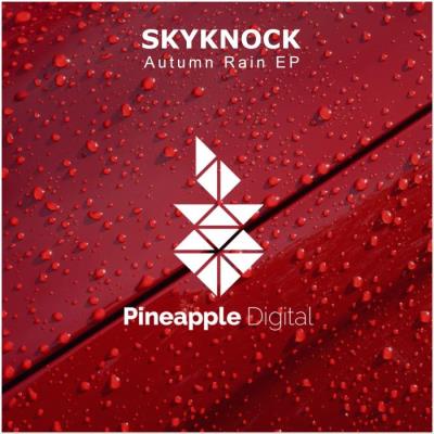 VA - Skyknock - Autumn Rain (2021) (MP3)