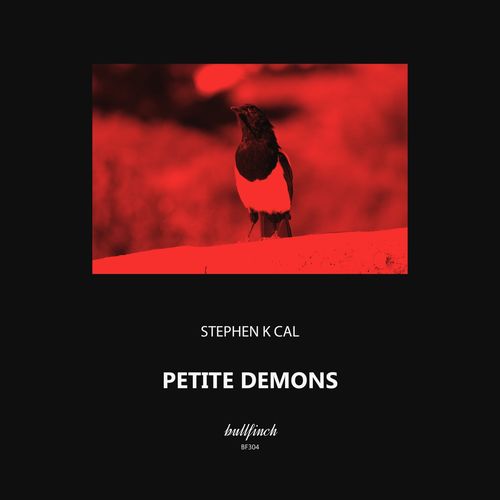 VA - Stephen K Cal - Petite Demons (2021) (MP3)