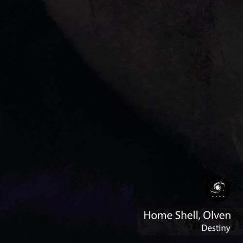 VA - Home Shell - Destiny (2021) (MP3)