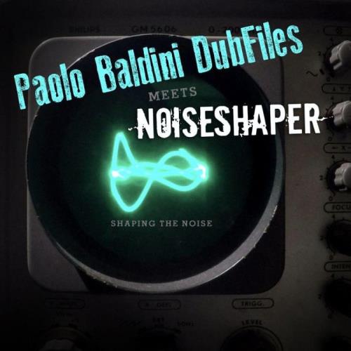 VA - Paolo Baldini DubFiles & Noiseshaper - Paolo Baldini Dubfiles Meets Noiseshaper (Shaping The Noise) (2021) (MP3)