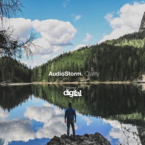 AudioStorm - Clarity (2021)