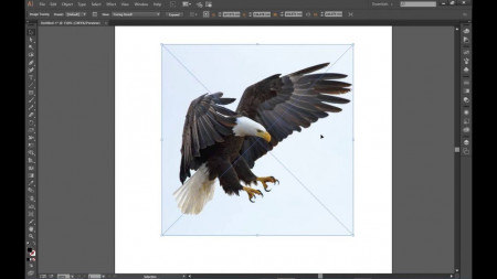 Master Image tracing with Adobe Illustrator
