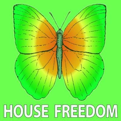 VA - House Freedom - Substance (2021) (MP3)