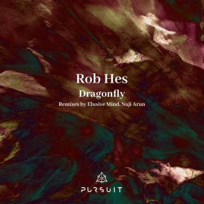 VA - Rob Hes - Dragonfly (2021) (MP3)