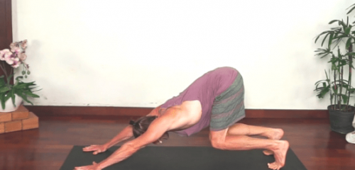 Yoga Collective - Flexion Extension Class