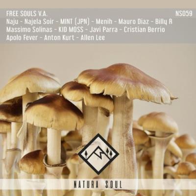 VA - FREE SOULS V.A. (2021) (MP3)