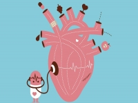 МОЗ: затвердження уніфікованого протоколу лікування ішемічної хвороби серця