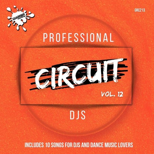 Professional Circuit Djs Compilation, Vol. 12 (2021)