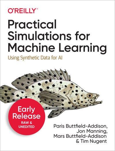 Practical Simulations for Machine Learning (Second Early Release)