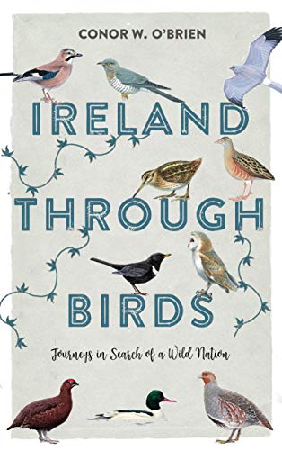 Ireland Through Birds Journeys in Search of a Wild Nation