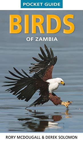 Pocket Guide Birds of Zambia (Pocket Guides)