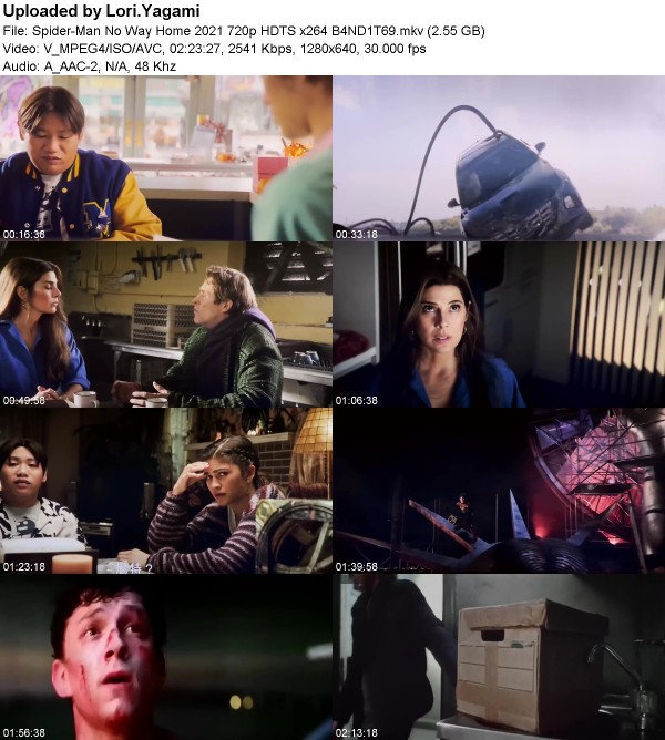 Spider-Man No Way Home (2021) 720p HDTS x264 B4ND1T69