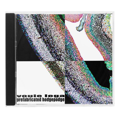 VA - Vouie Lega - Prefabricated Hodgepodge (2021) (MP3)