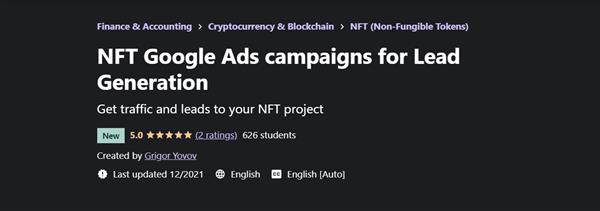 Udemy - NFT Google Ads campaigns for Lead Generation