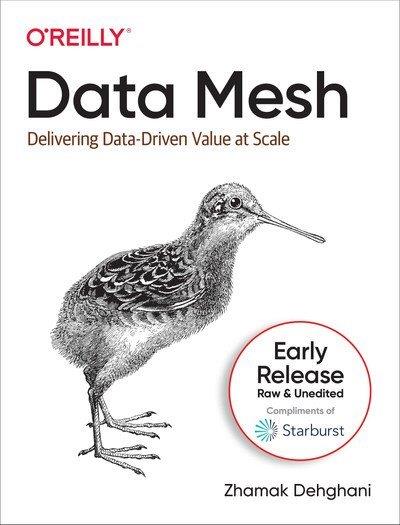 Data Mesh Delivering Data-Driven Value at Scale (Fourth Early Release)