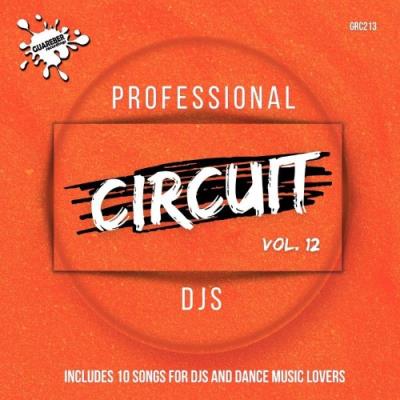 VA - Professional Circuit Djs Compilation, Vol. 12 (2021) (MP3)