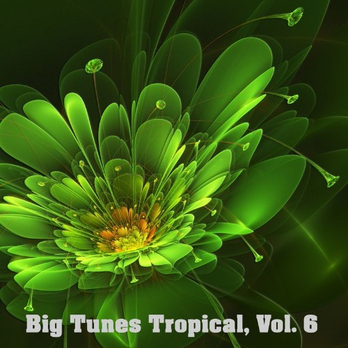 VA - Big Tunes Tropical, Vol. 6 (2021) (MP3)