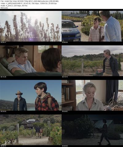 Under the Vines S01E05 720p HEVC x265 