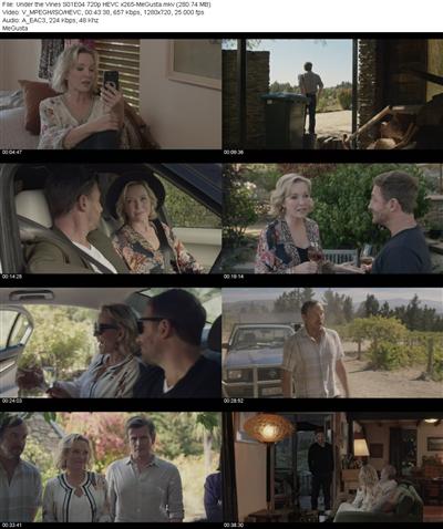 Under the Vines S01E04 720p HEVC x265 