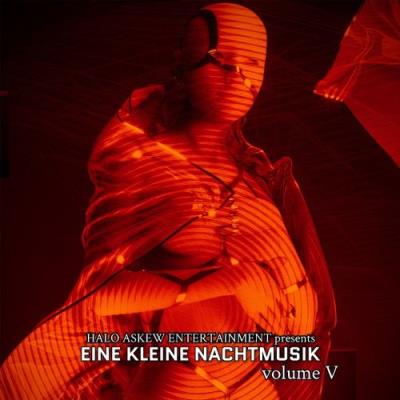 VA - Eine Kleine Nachtmusik Vol 5 (2021) (MP3)