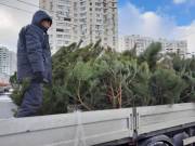 В Киеве демонтировали 30 нелегальных елочных базаров