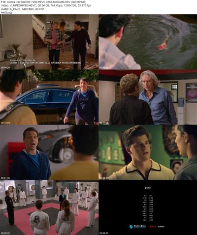 Cobra Kai S04E03 720p HEVC x265 