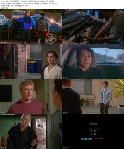 Cobra Kai S04E04 720p HEVC x265 