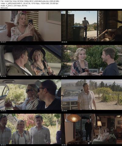 Under the Vines S01E04 1080p HEVC x265 