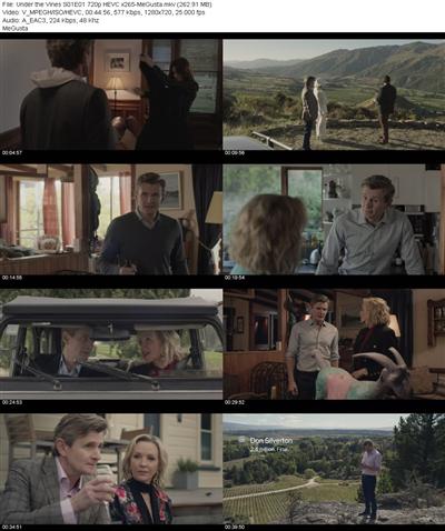 Under the Vines S01E01 720p HEVC x265 