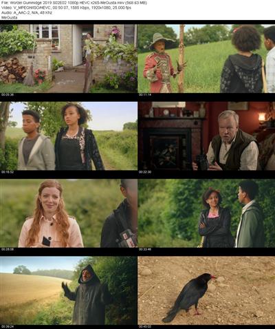 Worzel Gummidge 2019 S02E02 1080p HEVC x265 