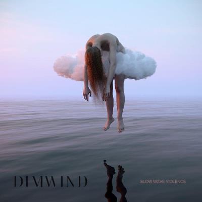 VA - Dimwind - Slow Wave Violence (2021) (MP3)