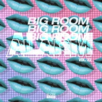 VA - Big Room Alarm, Vol. 22 (2021) (MP3)