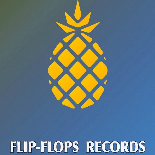 VA - Flip-Flops - Contours (2022) (MP3)