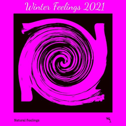 VA - Winter Feelings 2021 (2021) (MP3)