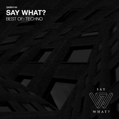 VA - Say What? - Best Of: Techno (2021) (MP3)