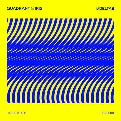VA - Iris & Quadrant - Harsh Realm (2021) (MP3)