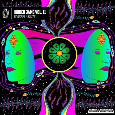 VA - Hidden Jams Vol. 11 (2021) (MP3)