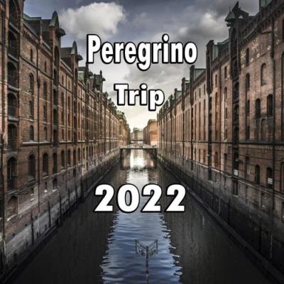 VA - Peregrino Trip 2022 (2021) (MP3)