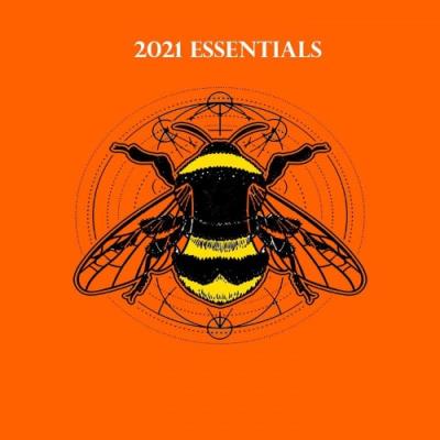 VA - Not So Serious - 2021 Essentials (2021) (MP3)