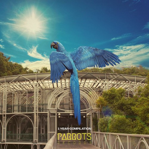 VA - Parrots - 1 Year Compilation (2021) (MP3)