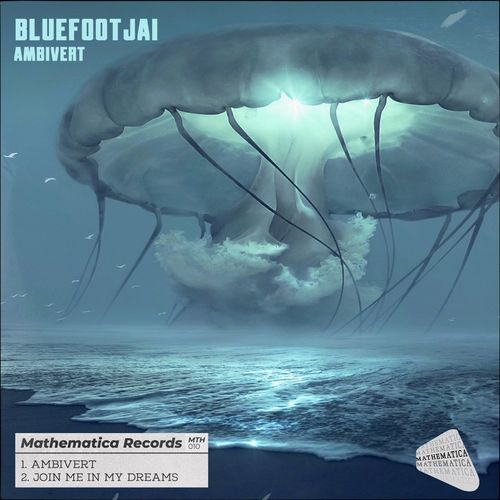 VA - Bluefootjai - Ambivert (2021) (MP3)