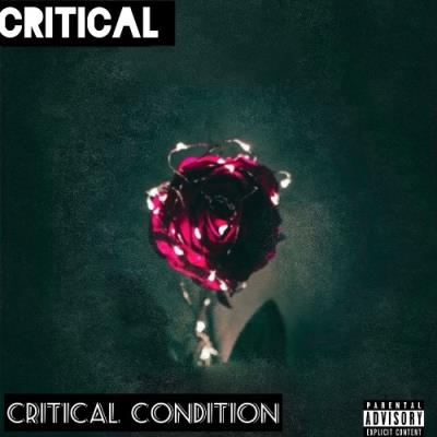VA - Critical - Critical Condition (2021) (MP3)