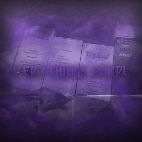 VA - T low - EVERYTHINGS PURPLE (2021) (MP3)