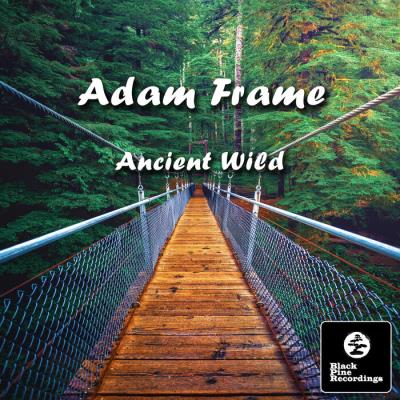 VA - Adam Frame - Ancient Wild (2021) (MP3)